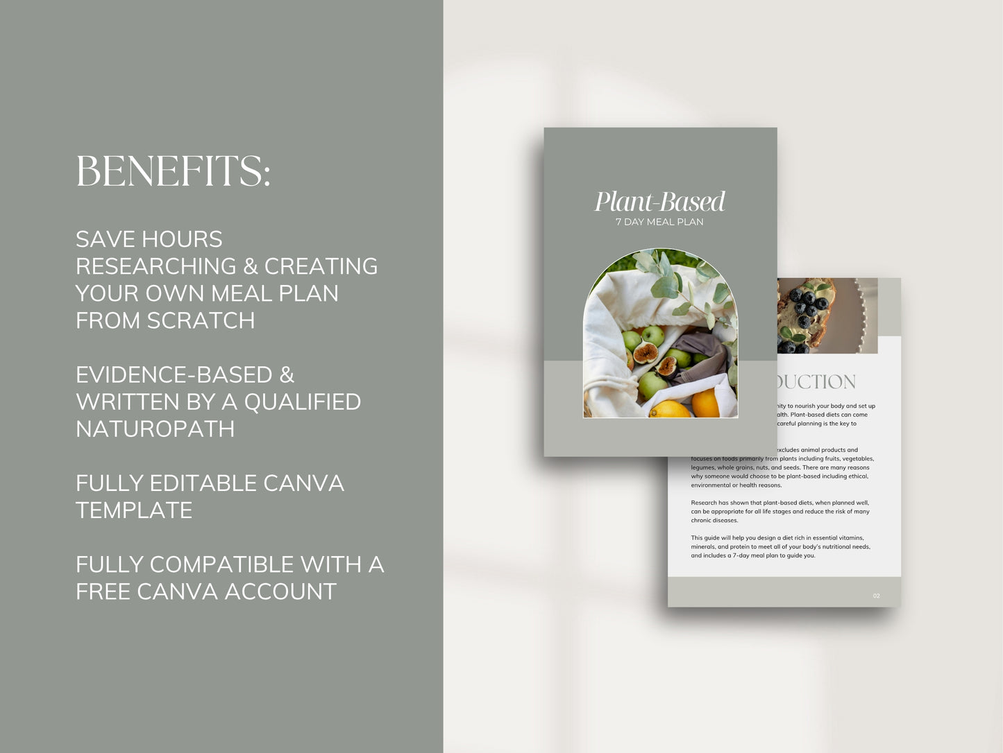 7 Day Plant-Based Meal Plan