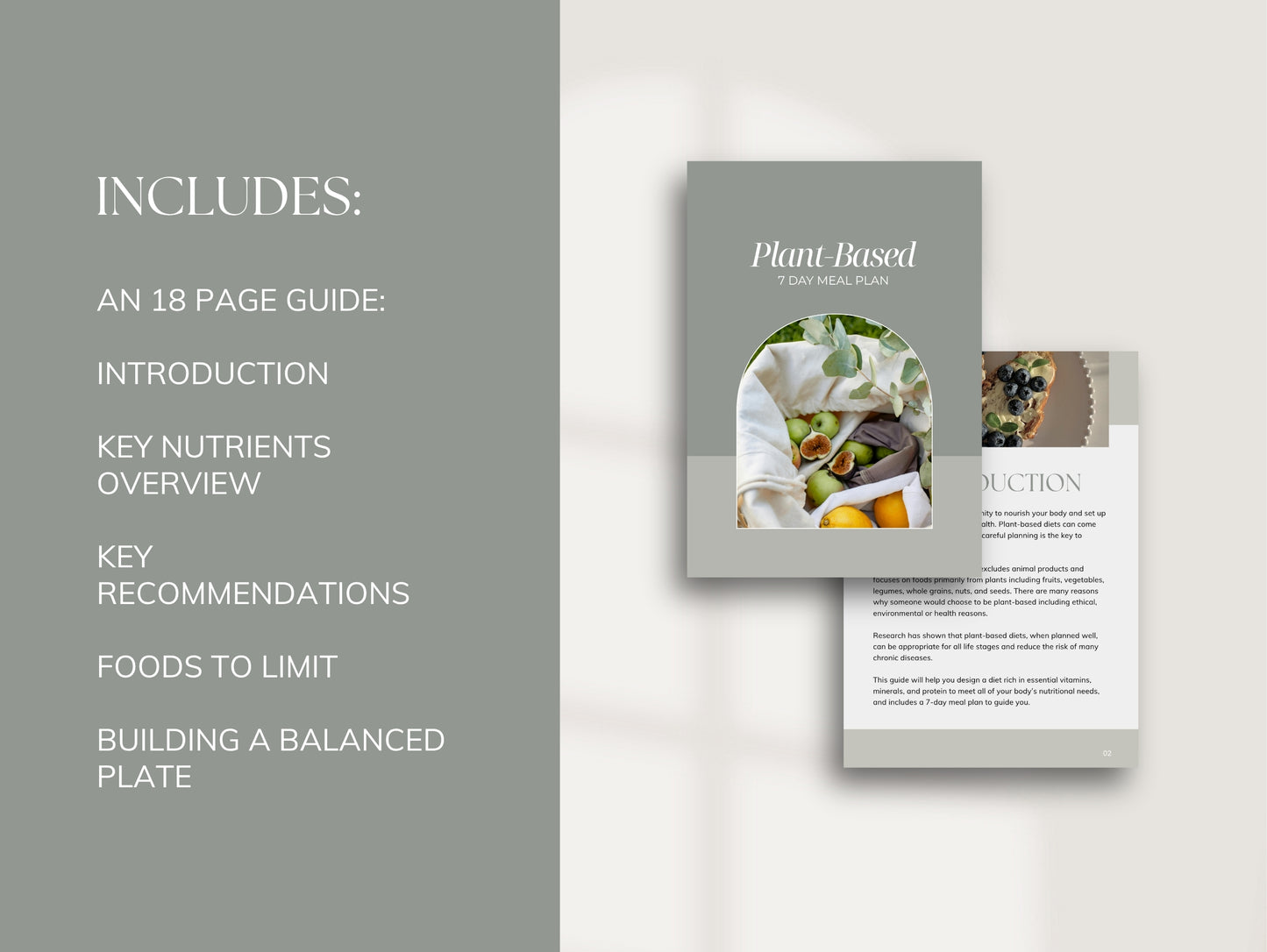7 Day Plant-Based Meal Plan