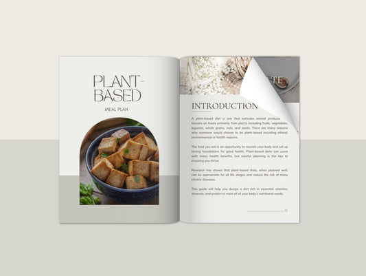 Plant-based meal plan with recipes for naturopaths and nutritionists