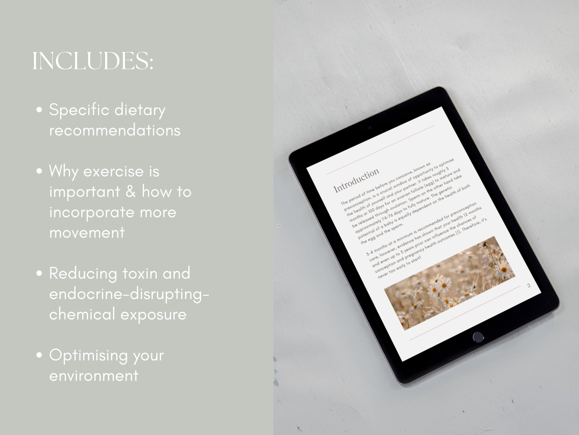 Editable Canva eBook for preconception client education