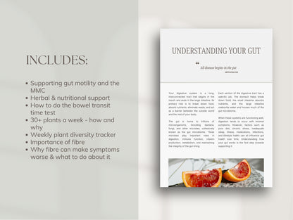 Gut Health Ebook