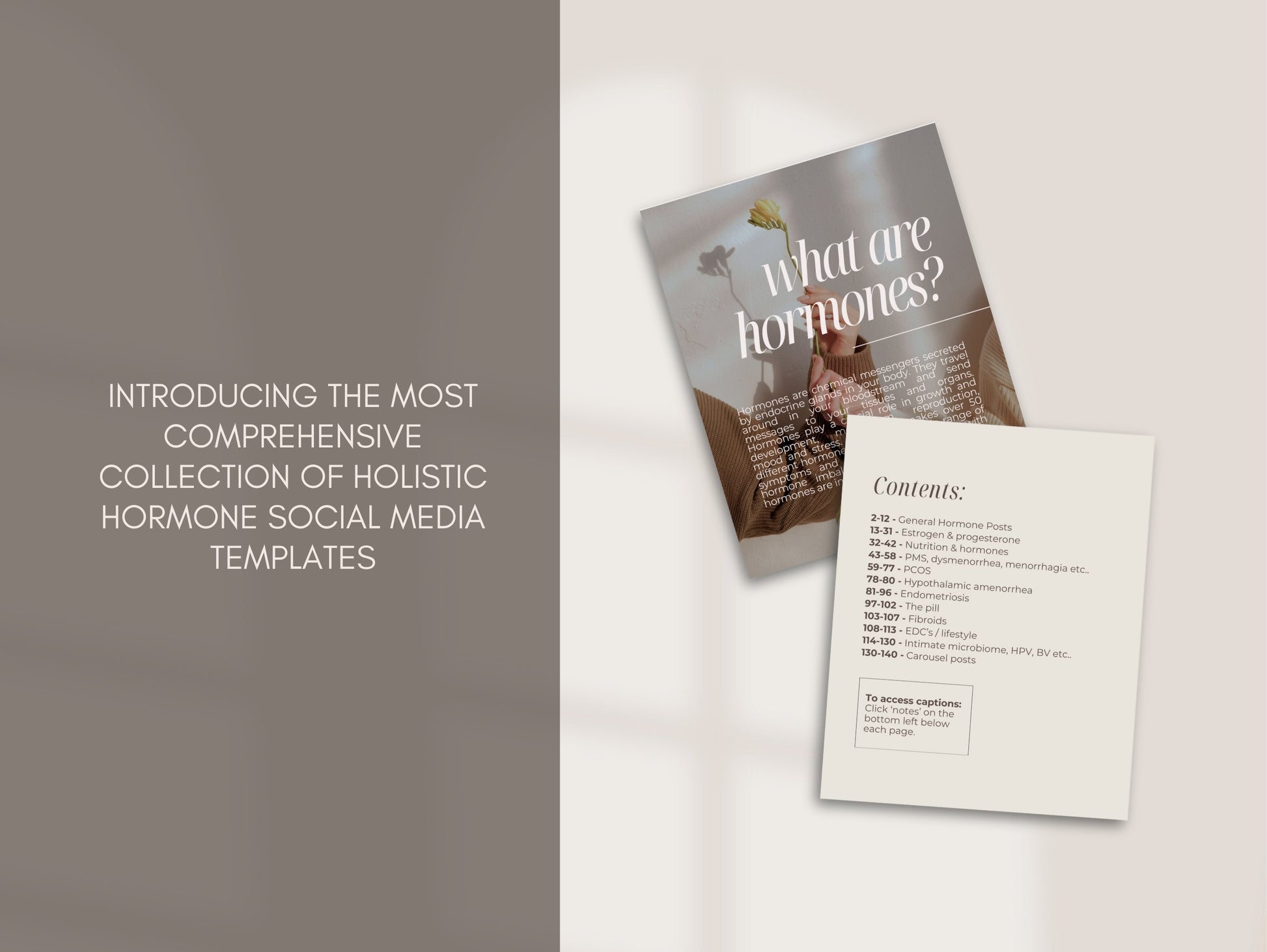 Holistic hormone social media templates with a post and content list on a light background