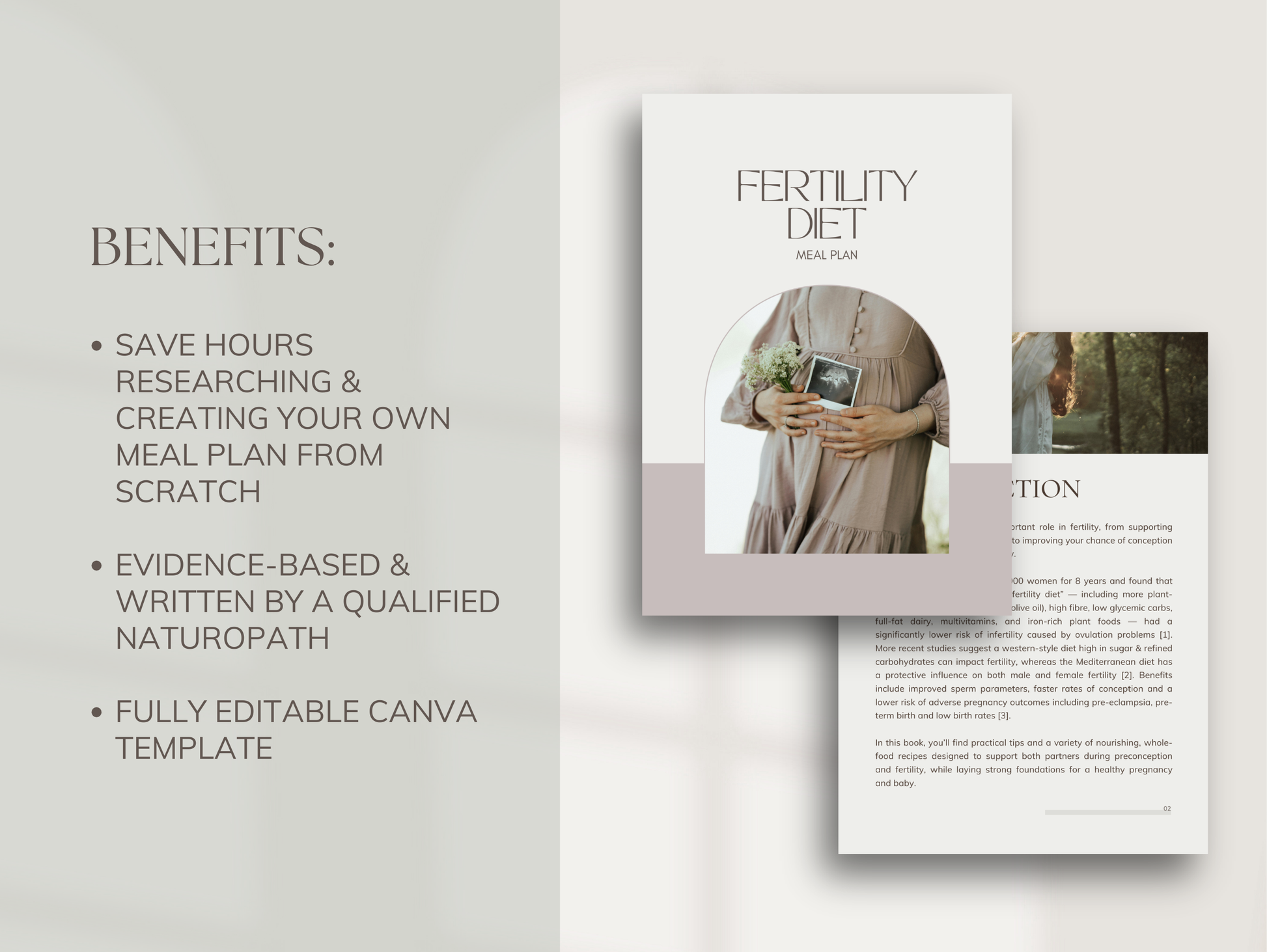 Editable fertility nutrition plan for holistic practitioners
