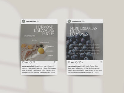 Hormone Instagram Canva Templates - Aesthetic