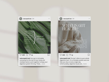 Gut Instagram Canva Templates - Aesthetic