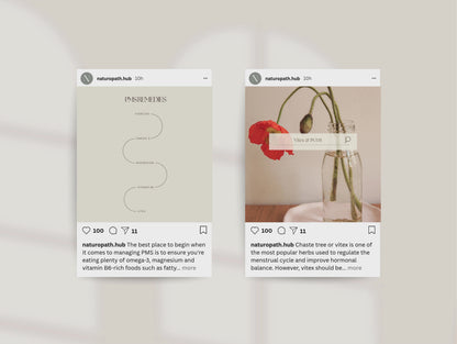 Hormone Instagram Canva Templates