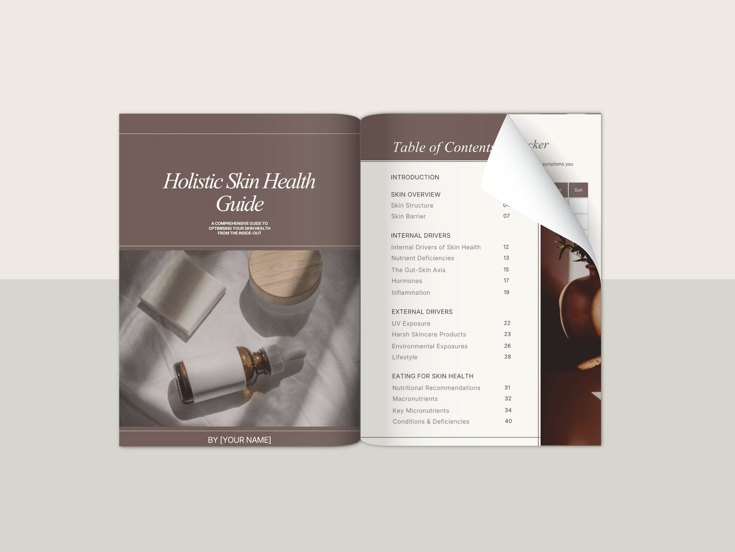 Holistic Skin Ebook
