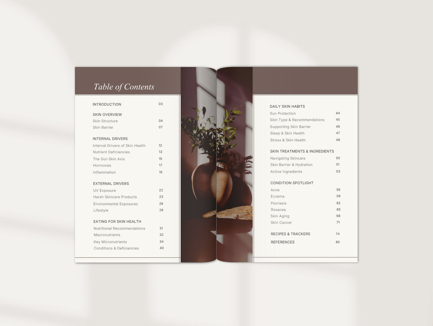 Holistic Skin Ebook