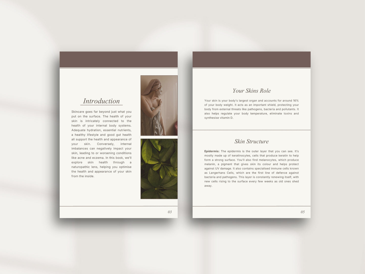 Holistic Skin Ebook